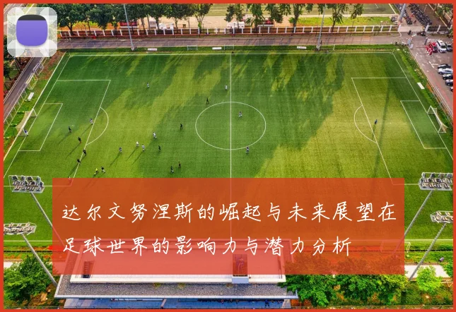 达尔文努涅斯的崛起与未来展望在足球世界的影响力与潜力分析